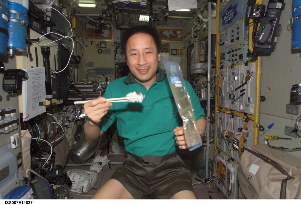 69450main_hi-ISS007E14837